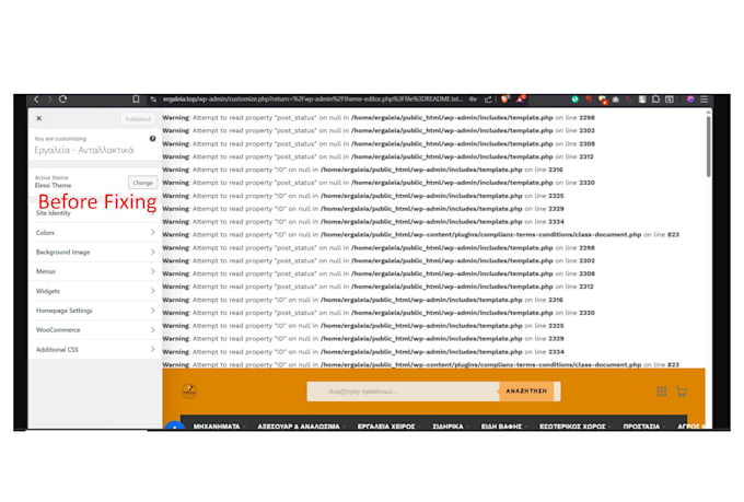 instantly fix any wordpress errors, issues, and bug in 1 hour